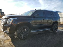 Cadillac Vehiculos salvage en venta: 2015 Cadillac Escalade Luxury