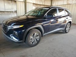 Salvage cars for sale at Phoenix, AZ auction: 2024 Hyundai Tucson Blue