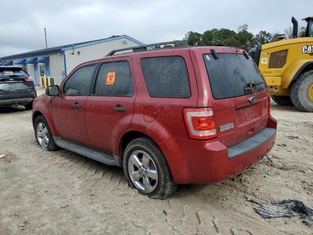 2011 Ford Escape XLT