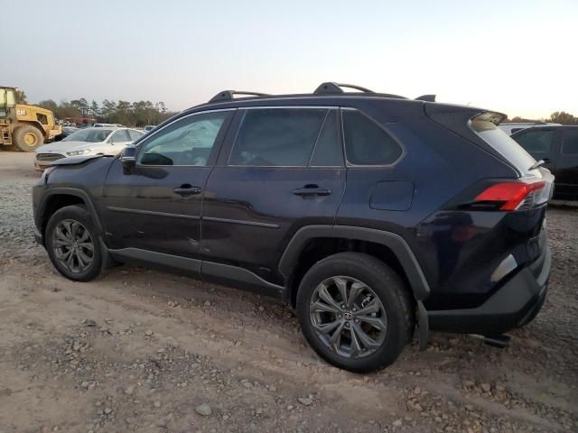 2024 Toyota Rav4 XLE Premium