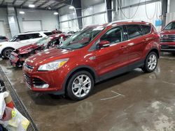 Vehiculos salvage en venta de Copart Ham Lake, MN: 2016 Ford Escape Titanium