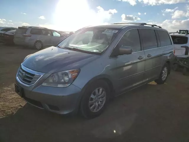 2010 Honda Odyssey EXL