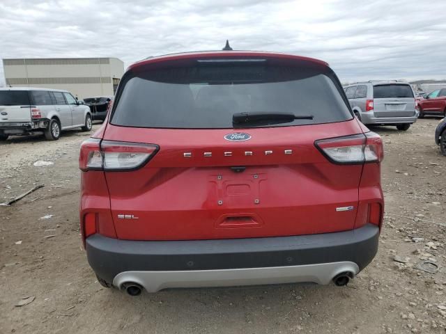 2020 Ford Escape SEL