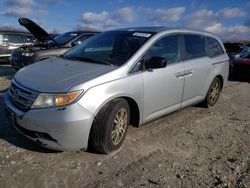 Honda salvage cars for sale: 2012 Honda Odyssey EXL