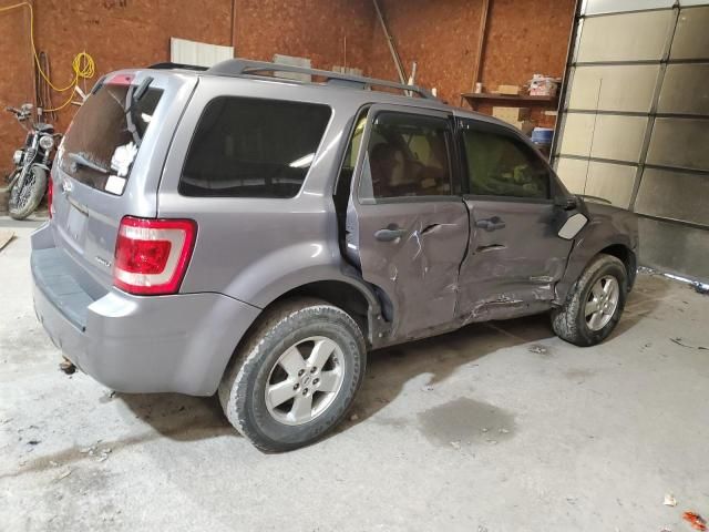 2008 Ford Escape XLT