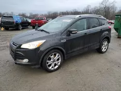 Salvage cars for sale at Ellwood City, PA auction: 2014 Ford Escape Titanium