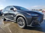 2023 Lexus NX 350