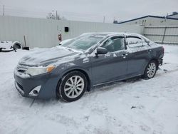 Toyota Camry Hybrid salvage cars for sale: 2014 Toyota Camry Hybrid