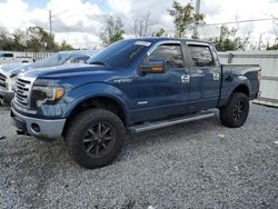 Salvage cars for sale from Copart Riverview, FL: 2013 Ford F150 Supercrew