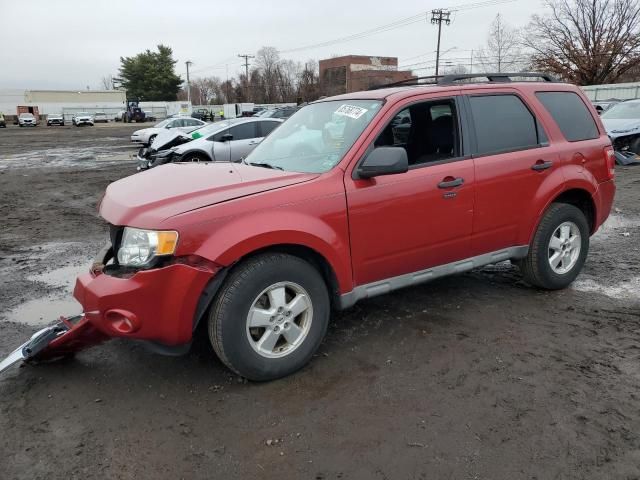 2009 Ford Escape XLT