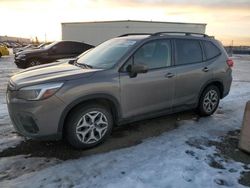 Subaru Forester Premium salvage cars for sale: 2019 Subaru Forester Premium