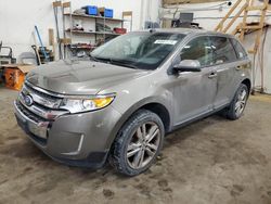 Vehiculos salvage en venta de Copart Ham Lake, MN: 2014 Ford Edge SEL