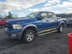 Dodge Vehiculos salvage en venta: 2010 Dodge RAM 1500