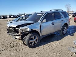 Salvage cars for sale at Kansas City, KS auction: 2011 Ford Escape XLT