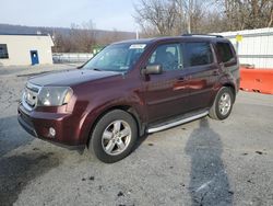 Honda Pilot salvage cars for sale: 2010 Honda Pilot EXL