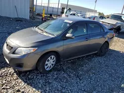 Salvage cars for sale at Tifton, GA auction: 2010 Toyota Corolla Base