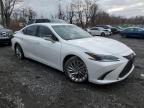 2023 Lexus ES 350 Base