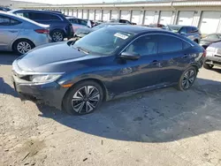 2016 Honda Civic EX en venta en Louisville, KY