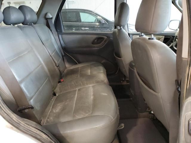 2005 Ford Escape XLT