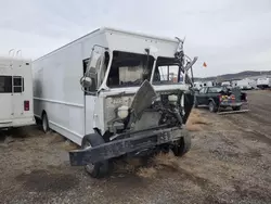 Salvage trucks for sale at Helena, MT auction: 2023 Ford F59