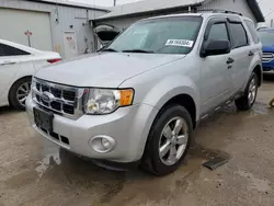 Salvage cars for sale at Pekin, IL auction: 2009 Ford Escape XLT