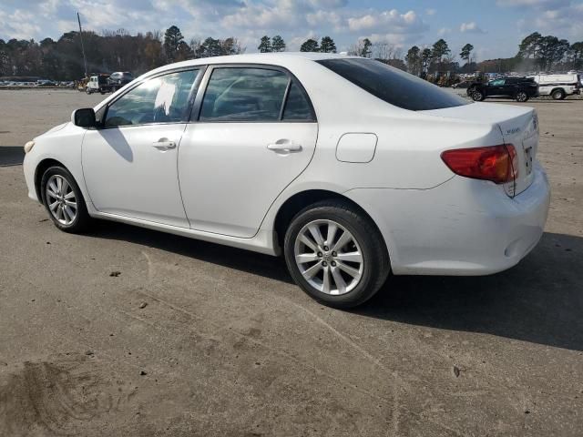 2010 Toyota Corolla Base