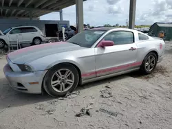 Salvage cars for sale from Copart West Palm Beach, FL: 2014 Ford Mustang