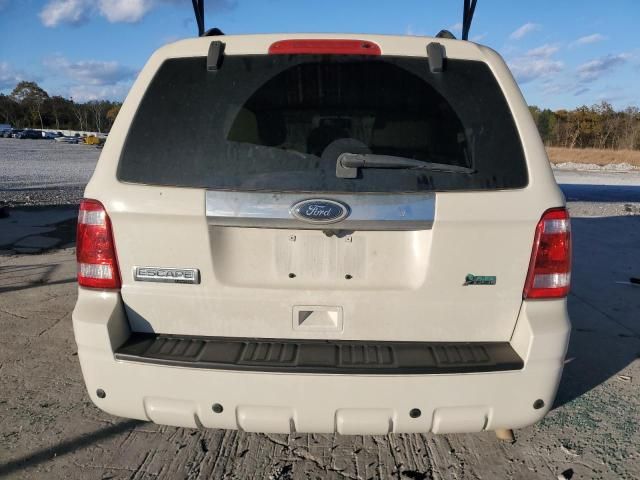 2011 Ford Escape Limited