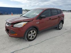 Salvage cars for sale at Arcadia, FL auction: 2016 Ford Escape S