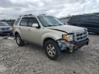 2010 Ford Escape Limited