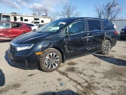 Honda Odyssey exl salvage cars for sale: 2024 Honda Odyssey EXL