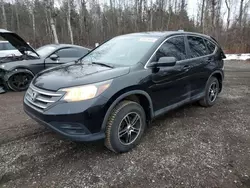 Salvage cars for sale at Cookstown, ON auction: 2014 Honda CR-V LX