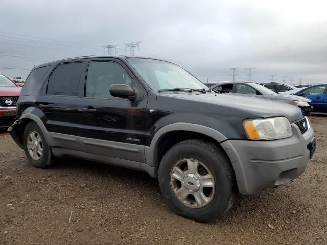 2001 Ford Escape XLT