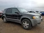 2001 Ford Escape XLT