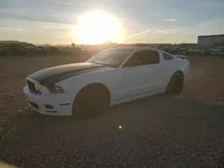 2013 Ford Mustang en venta en Phoenix, AZ