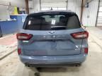 2024 Ford Escape ST Line