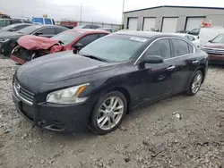 Nissan salvage cars for sale: 2009 Nissan Maxima S