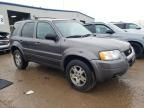 2004 Ford Escape Limited