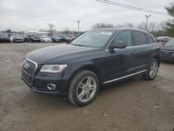 Salvage cars for sale at Lexington, KY auction: 2014 Audi Q5 Premium Plus