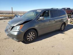 2008 Honda Odyssey EXL en venta en Albuquerque, NM