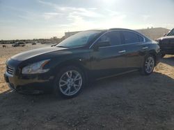 Vehiculos salvage en venta de Copart San Antonio, TX: 2012 Nissan Maxima S