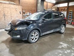 Salvage cars for sale at Ebensburg, PA auction: 2013 Ford Escape SEL