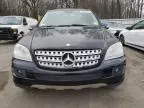 2007 Mercedes-Benz ML 500