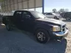 2005 Dodge Dakota Quad SLT