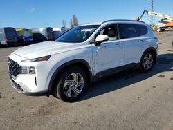 Salvage cars for sale at Hayward, CA auction: 2023 Hyundai Santa FE SEL