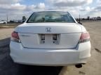 2010 Honda Accord LXP