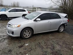 Salvage cars for sale at Arlington, WA auction: 2011 Toyota Corolla Base