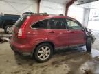 2007 Honda CR-V EXL