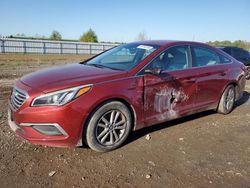 Hyundai Sonata Vehiculos salvage en venta: 2016 Hyundai Sonata SE