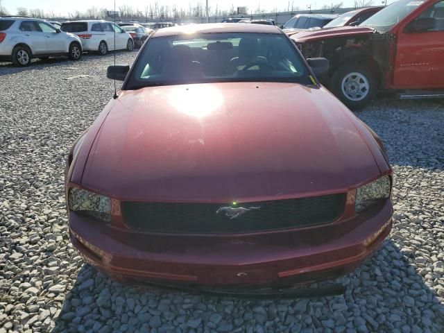 2005 Ford Mustang